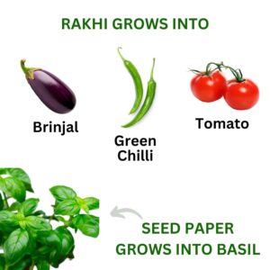 Nurturing Green® Plantable Rakhi Combo with Roli and Chawal | Eco-Friendly Rakhi Gift Box for Rakshabandhan | Rakhi For Brother - Image 4
