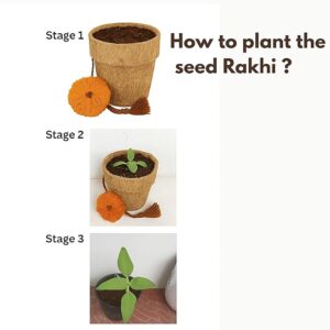 Eco-Friendly Rakhi for Raksha Bandhan | Plantable Thread, Mini Planter, Roli-Chawal & Message Jar | Non-Edible Ritual Gift - Image 3