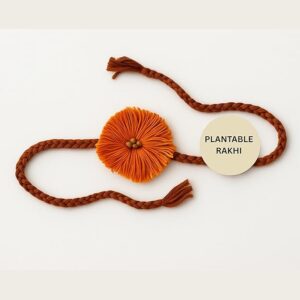 Eco-Friendly Rakhi for Raksha Bandhan | Plantable Thread, Mini Planter, Roli-Chawal & Message Jar | Non-Edible Ritual Gift - Image 4