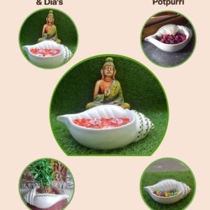 Art Potteries Village Decor Terracotta Sangu Urli (Sangu Urli), 500 Liter, White - Image 6